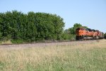 BNSF 8593